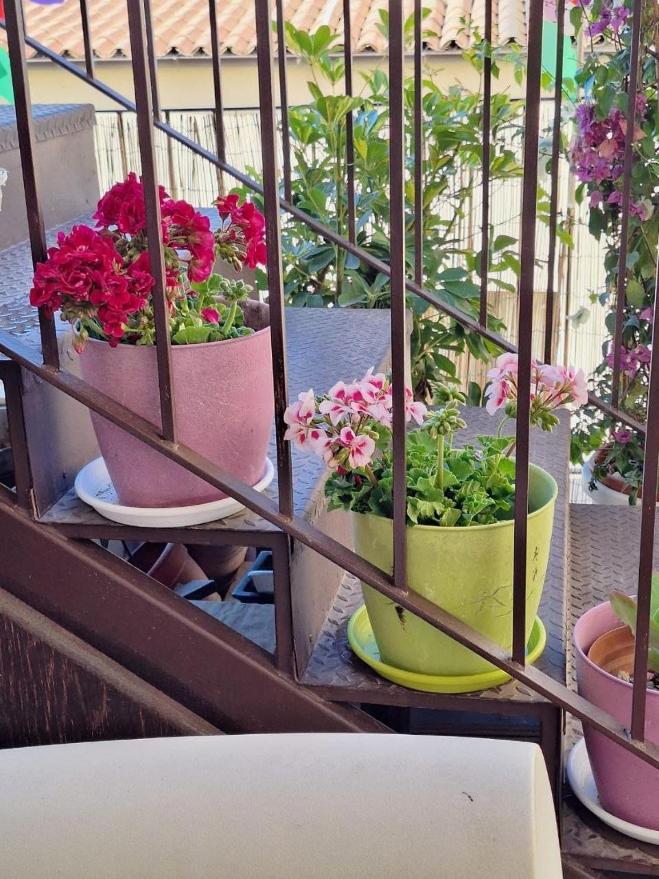 아그리젠토 Sogni D'Oro B&B 외부 사진